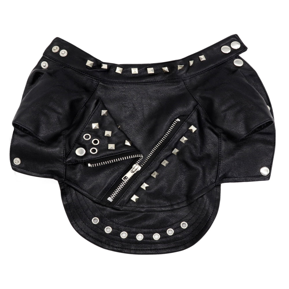 Biker Jacket - Pawsitivetrends