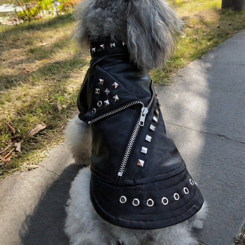 Biker Jacket - Pawsitivetrends