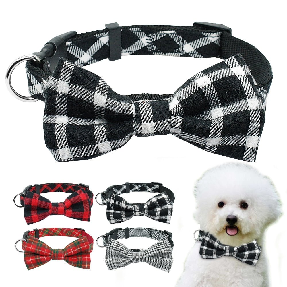 Bowtie Breakaway Small Pet Collar - Pawsitivetrends