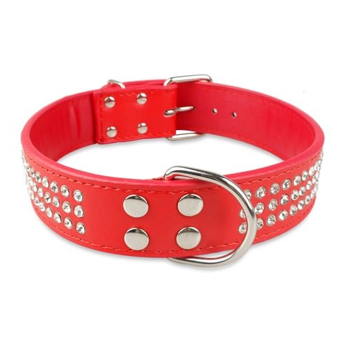 Crystal Studded Large Dog Collar - Pawsitivetrends