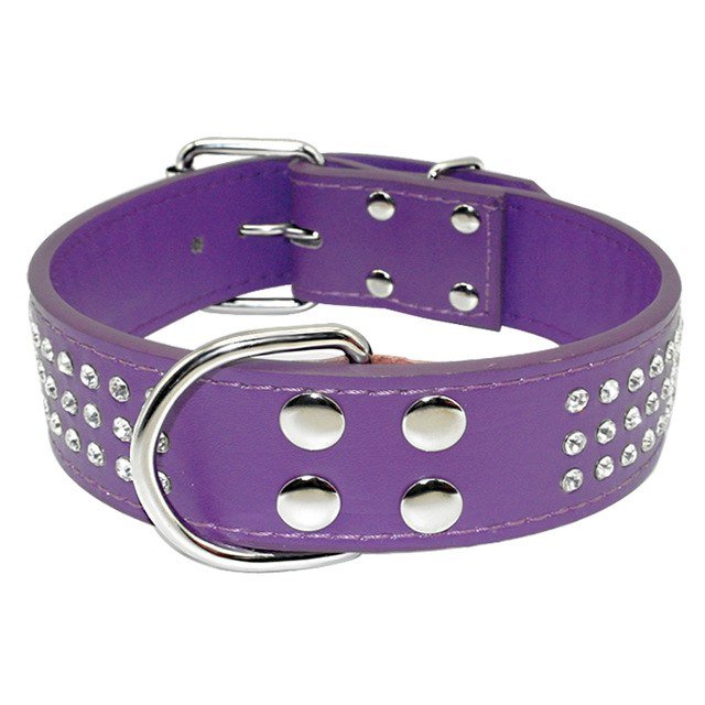 Crystal Studded Large Dog Collar - Pawsitivetrends