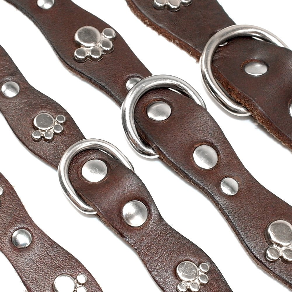 Genuine Leather Adjustable Studded Pet Collar - Pawsitivetrends