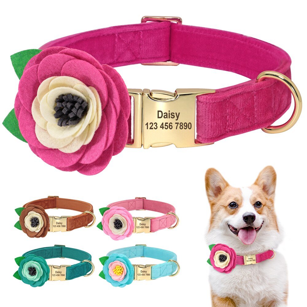 Personalized Flower Collar - Pawsitivetrends