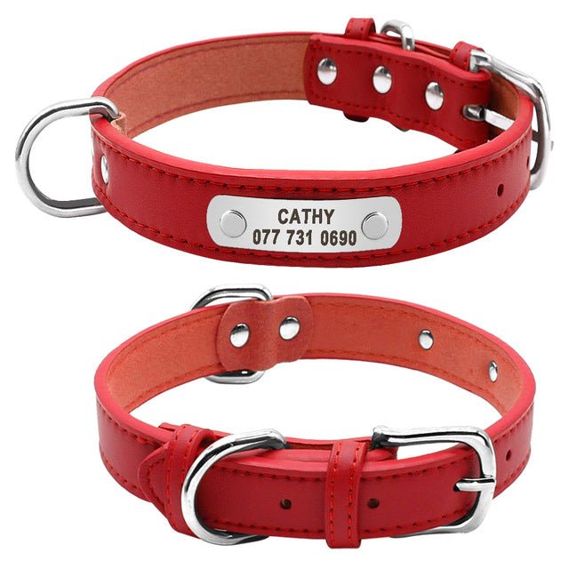 Personalized Leather Padded Dog Collar - Pawsitivetrends