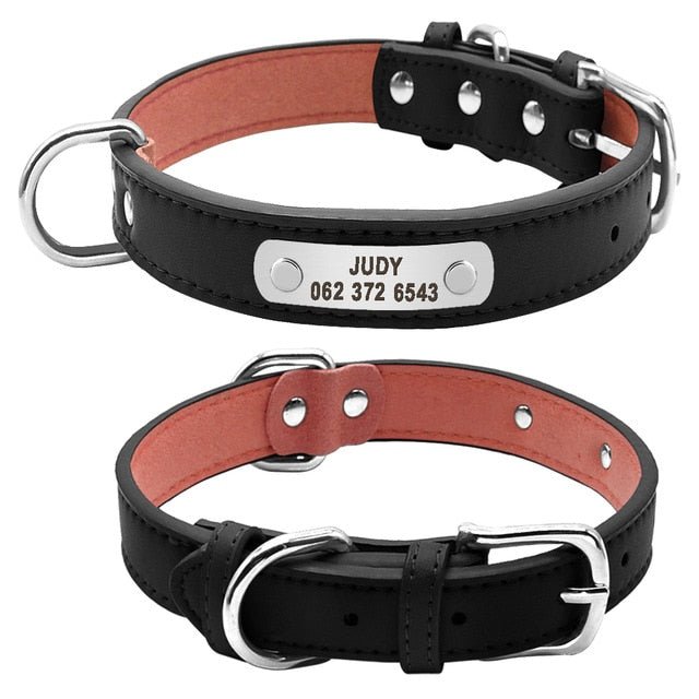 Personalized Leather Padded Dog Collar - Pawsitivetrends