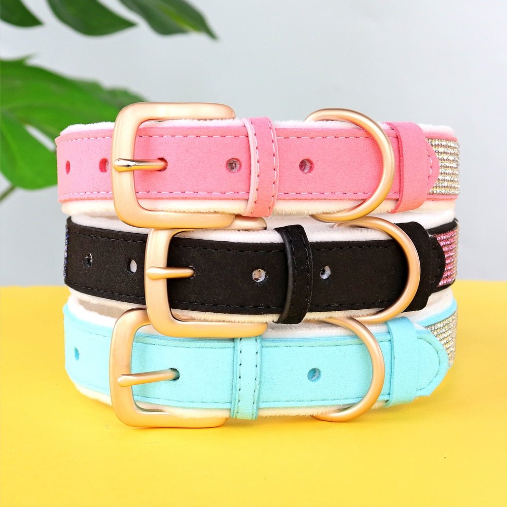 Personalized Padded Leather Rhinestone Collar - Pawsitivetrends