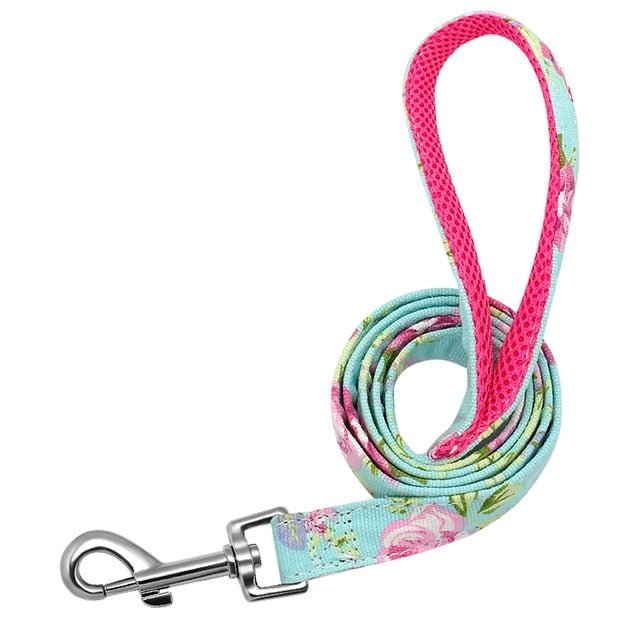 Personalized Pet Collar & Leash Set - Pawsitivetrends