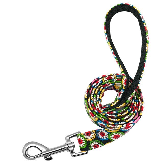 Personalized Pet Collar & Leash Set - Pawsitivetrends