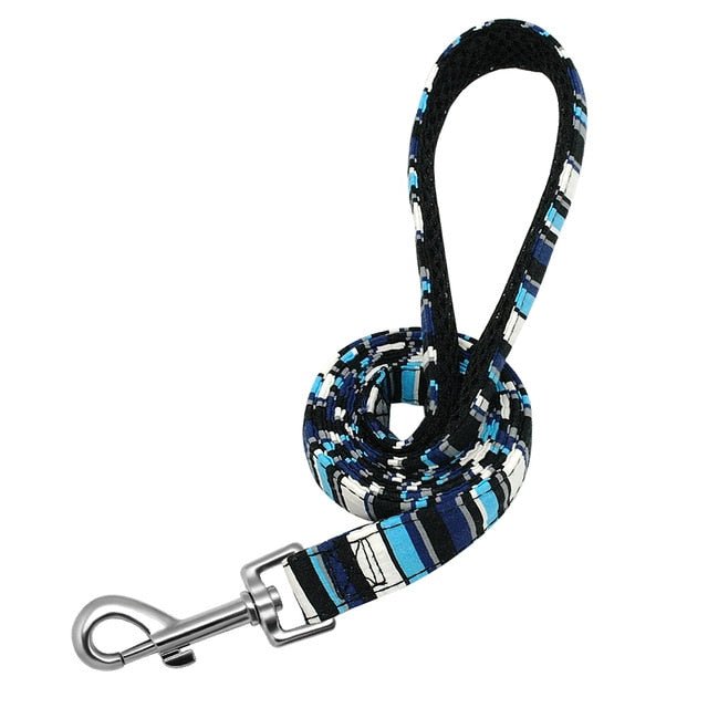 Personalized Pet Collar & Leash Set - Pawsitivetrends