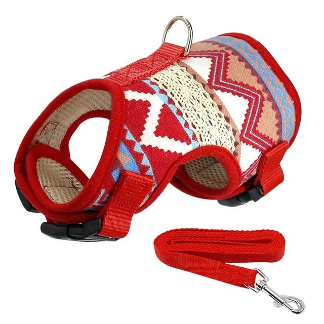 Printed Soft Mesh Padded Pet Harness and Leash Set - Pawsitivetrends