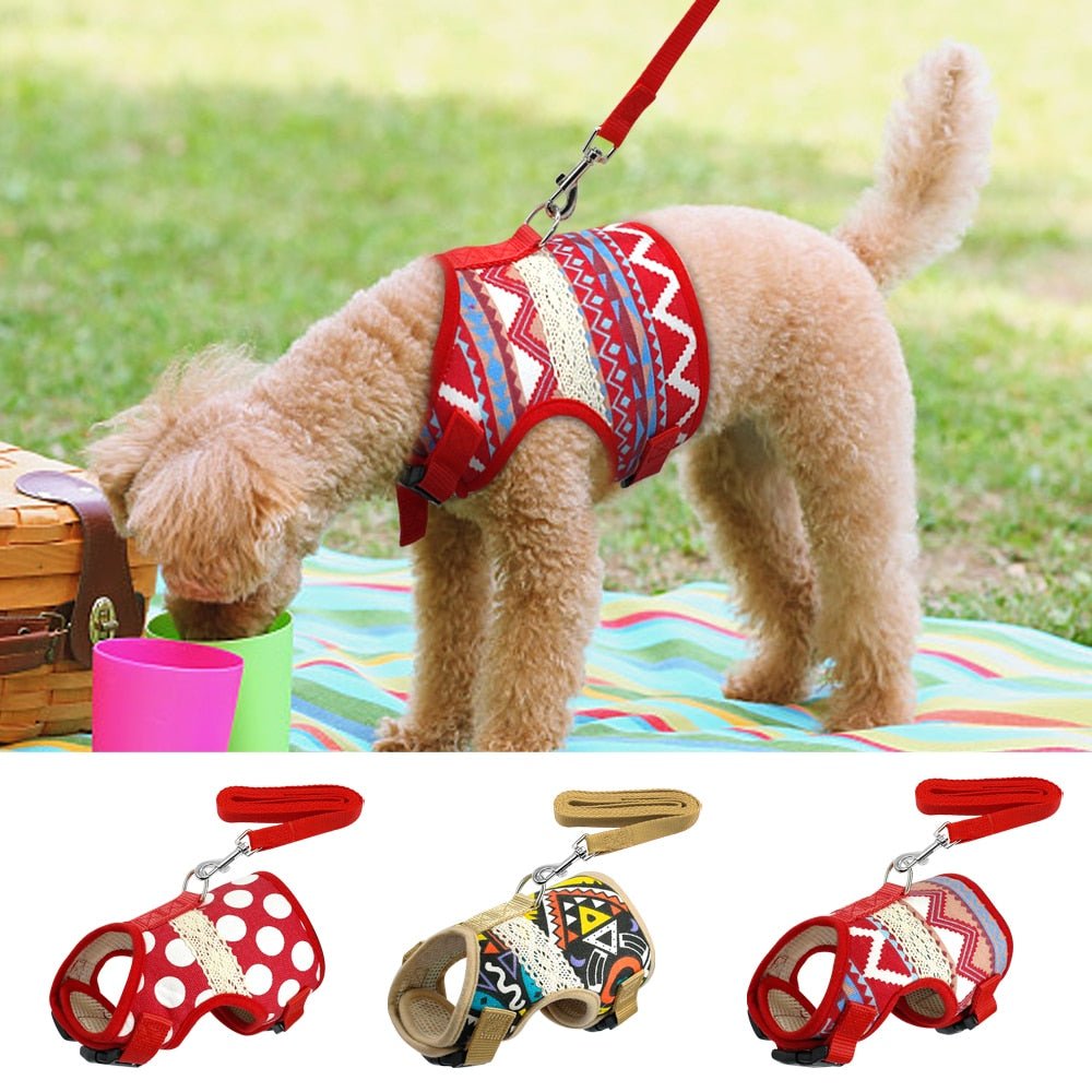 Printed Soft Mesh Padded Pet Harness and Leash Set - Pawsitivetrends