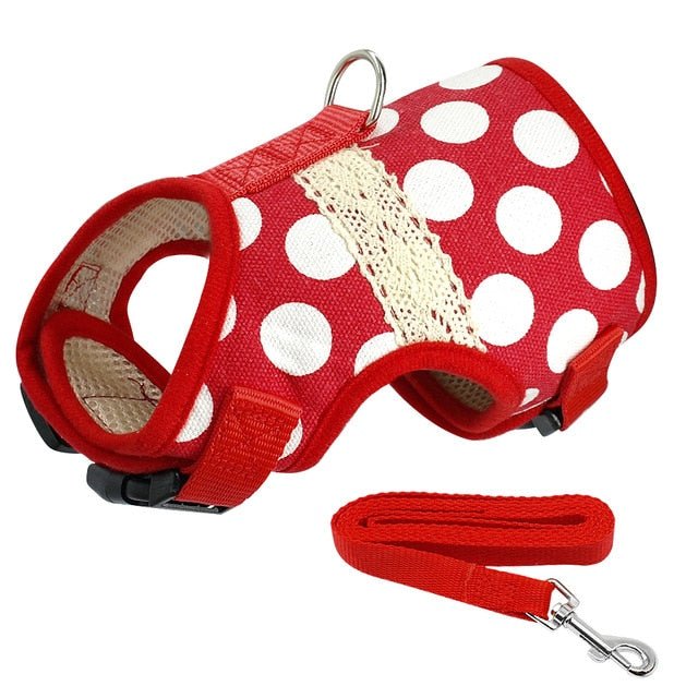 Printed Soft Mesh Padded Pet Harness and Leash Set - Pawsitivetrends