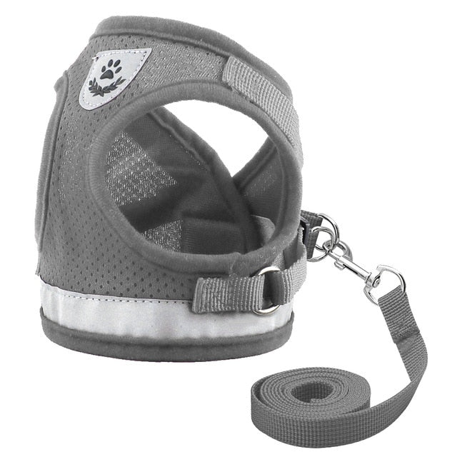 Reflective Mesh Pet Harness and Leash Set - Pawsitivetrends