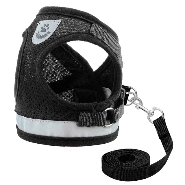 Reflective Mesh Pet Harness and Leash Set - Pawsitivetrends