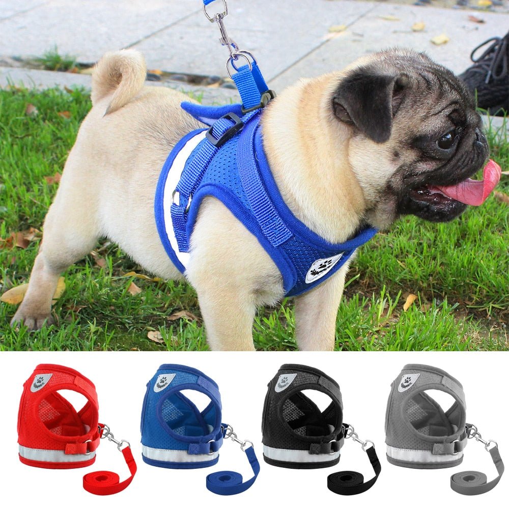 Reflective Mesh Pet Harness and Leash Set - Pawsitivetrends