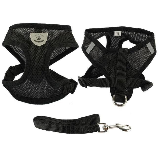 Soft Breathable Air Mesh Pet Harness and Leash Set - Pawsitivetrends