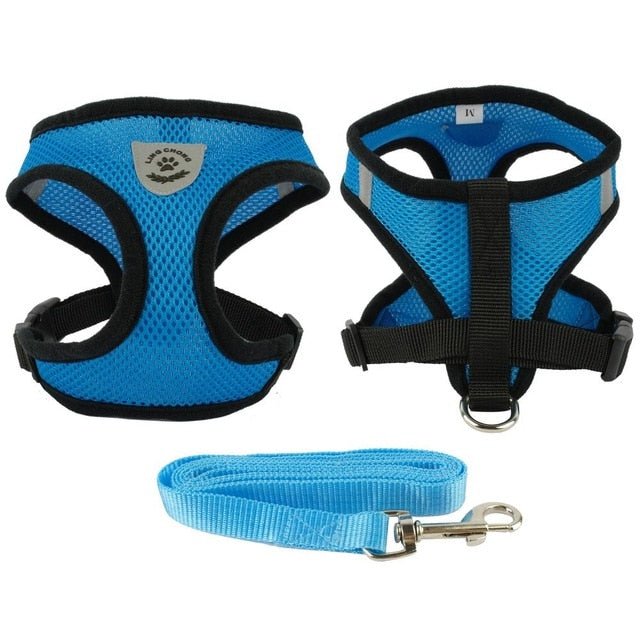 Soft Breathable Air Mesh Pet Harness and Leash Set - Pawsitivetrends