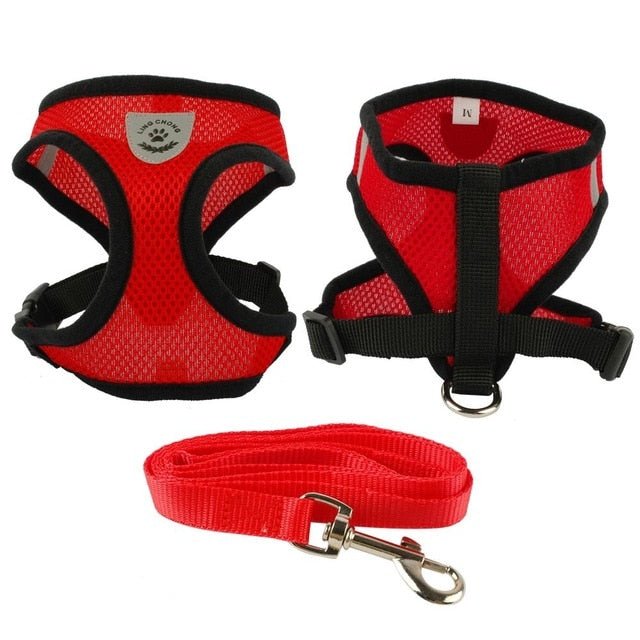 Soft Breathable Air Mesh Pet Harness and Leash Set - Pawsitivetrends