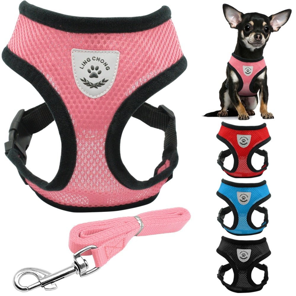 Soft Breathable Air Mesh Pet Harness and Leash Set - Pawsitivetrends