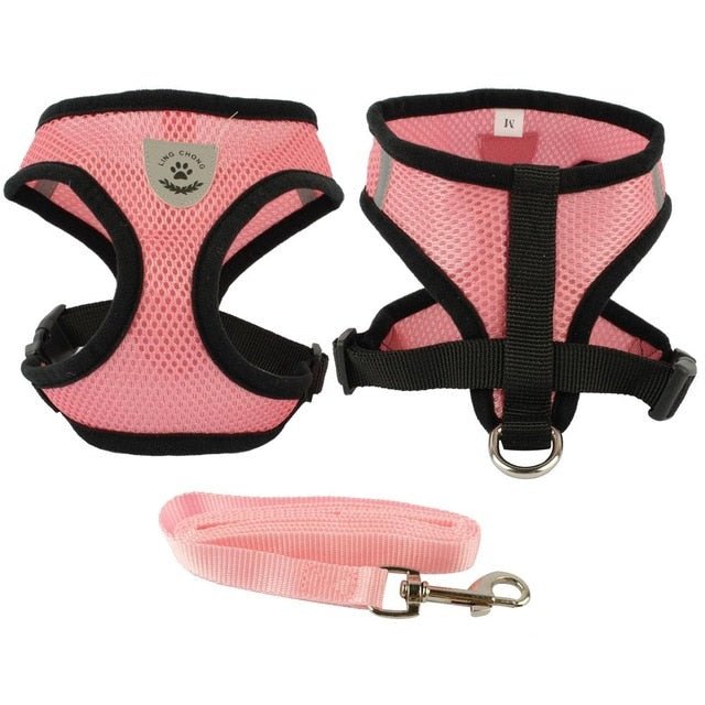 Soft Breathable Air Mesh Pet Harness and Leash Set - Pawsitivetrends